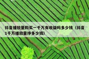 抖音播放量购买一千万有收益吗多少钱（抖音1千万播放量挣多少钱）