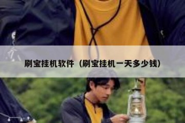 刷宝挂机软件（刷宝挂机一天多少钱）