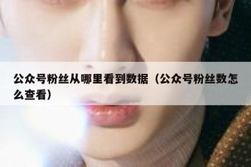 公众号粉丝从哪里看到数据（公众号粉丝数怎么查看）