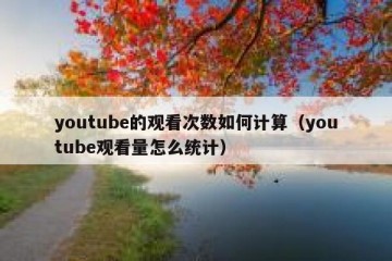 youtube的观看次数如何计算（youtube观看量怎么统计）