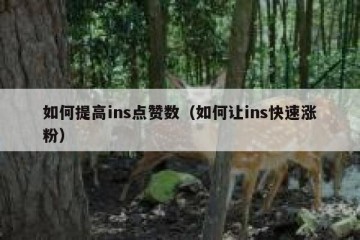 如何提高ins点赞数（如何让ins快速涨粉）