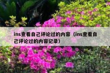 ins查看自己评论过的内容（ins查看自己评论过的内容记录）