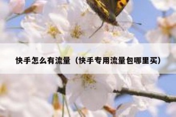 快手怎么有流量（快手专用流量包哪里买）