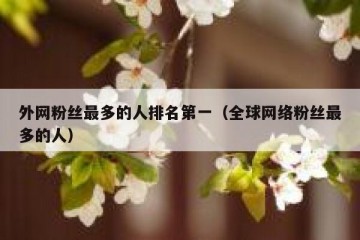 外网粉丝最多的人排名第一（全球网络粉丝最多的人）