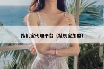 挂机宝代理平台（挂机宝加盟）