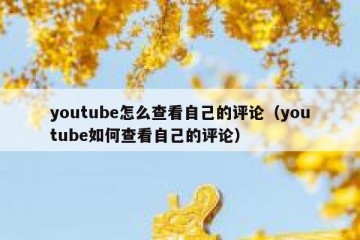 youtube怎么查看自己的评论（youtube如何查看自己的评论）