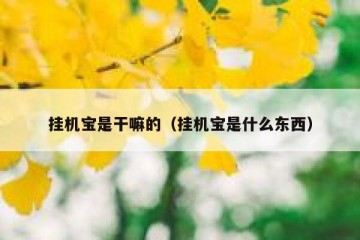 挂机宝是干嘛的（挂机宝是什么东西）