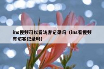 ins视频可以看访客记录吗（ins看视频有访客记录吗）
