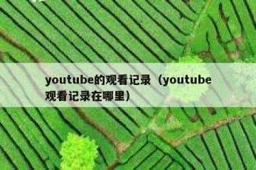 youtube的观看记录（youtube观看记录在哪里）