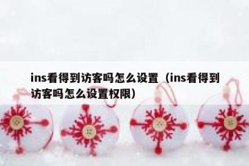 ins看得到访客吗怎么设置（ins看得到访客吗怎么设置权限）