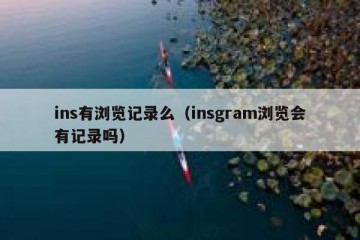 ins有浏览记录么（insgram浏览会有记录吗）