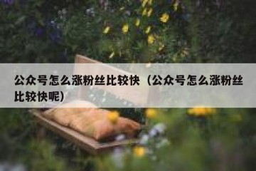 公众号怎么涨粉丝比较快（公众号怎么涨粉丝比较快呢）