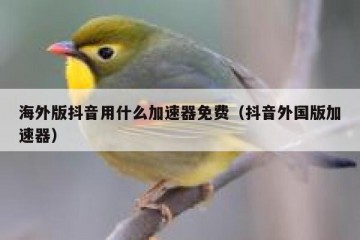 海外版抖音用什么加速器免费（抖音外国版加速器）