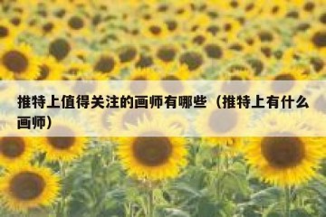 推特上值得关注的画师有哪些（推特上有什么画师）