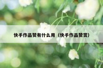 快手作品赞有什么用（快手作品赞赏）