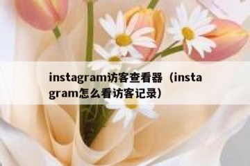 instagram访客查看器（instagram怎么看访客记录）