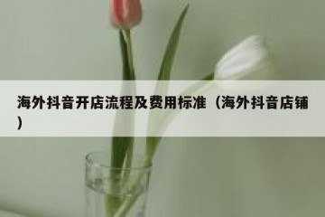 海外抖音开店流程及费用标准（海外抖音店铺）