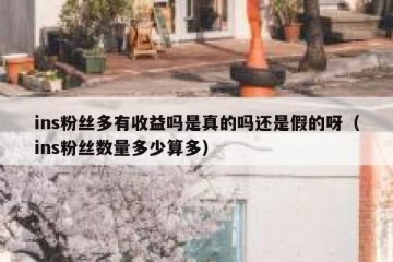 ins粉丝多有收益吗是真的吗还是假的呀（ins粉丝数量多少算多）