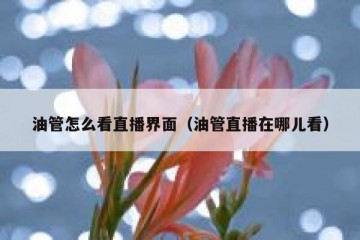 油管怎么看直播界面（油管直播在哪儿看）