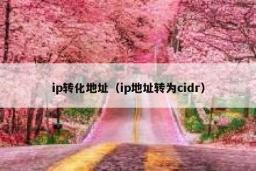 ip转化地址（ip地址转为cidr）