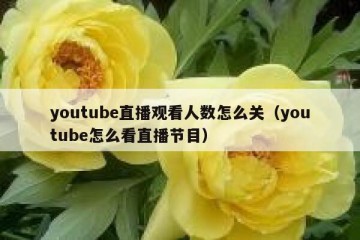 youtube直播观看人数怎么关（youtube怎么看直播节目）