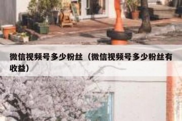 微信视频号多少粉丝（微信视频号多少粉丝有收益）