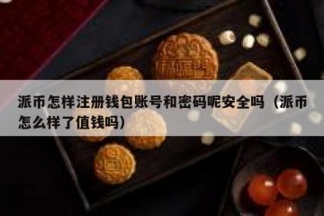 派币怎样注册钱包账号和密码呢安全吗（派币怎么样了值钱吗）