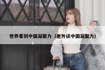 世界看到中国凝聚力（老外谈中国凝聚力）