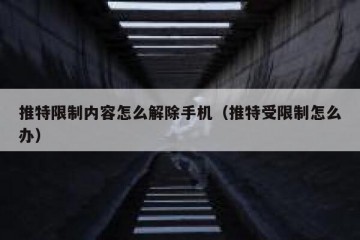 推特限制内容怎么解除手机（推特受限制怎么办）