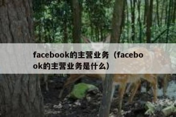 facebook的主营业务（facebook的主营业务是什么）