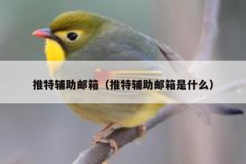 推特辅助邮箱（推特辅助邮箱是什么）