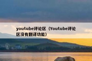 youtube评论区（Youtube评论区没有翻译功能）