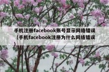 手机注册facebook账号显示网络错误（手机facebook注册为什么网络错误）