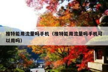 推特能用流量吗手机（推特能用流量吗手机可以用吗）