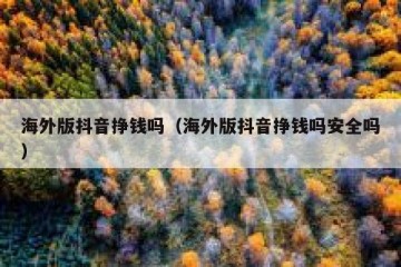 海外版抖音挣钱吗（海外版抖音挣钱吗安全吗）