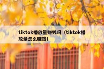 tiktok播放量赚钱吗（tiktok播放量怎么赚钱）