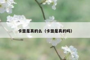 卡盟是真的么（卡盟是真的吗）