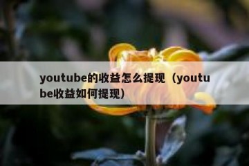 youtube的收益怎么提现（youtube收益如何提现）