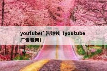 youtube广告赚钱（youtube 广告费用）