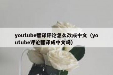 youtube翻译评论怎么改成中文（youtube评论翻译成中文吗）