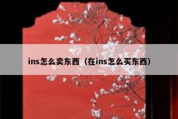 ins怎么卖东西（在ins怎么买东西）