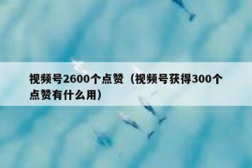 视频号2600个点赞（视频号获得300个点赞有什么用）