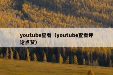 youtube查看（youtube查看评论点赞）