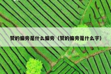 赞的偏旁是什么偏旁（赞的偏旁是什么字）