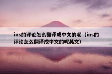 ins的评论怎么翻译成中文的呢（ins的评论怎么翻译成中文的呢英文）