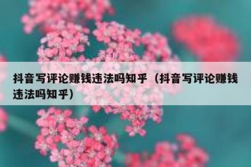 抖音写评论赚钱违法吗知乎（抖音写评论赚钱违法吗知乎）
