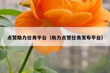 点赞助力任务平台（助力点赞任务发布平台）