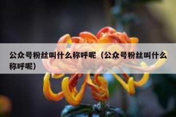公众号粉丝叫什么称呼呢（公众号粉丝叫什么称呼呢）