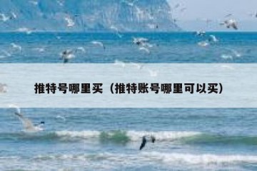 推特号哪里买（推特账号哪里可以买）