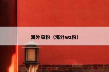 海外吸粉（海外wz粉）